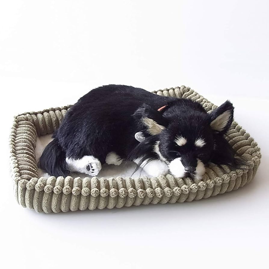 Amazon.co.jp: ニニアンドキノ パーフェクトペット (小サイズ
